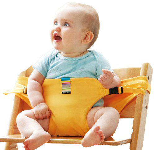 Portable Child Seat Safety Belt & Harness