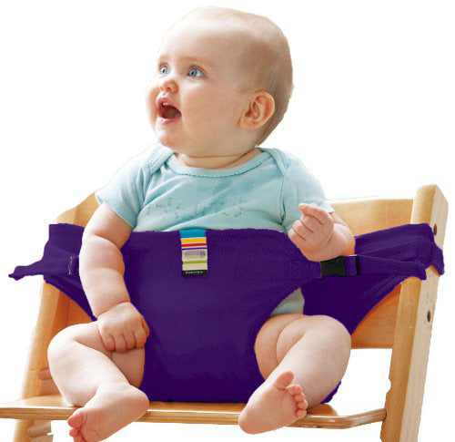 Portable Child Seat Safety Belt & Harness