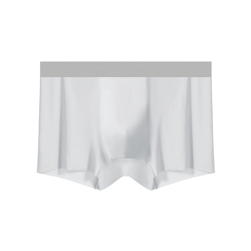 Men's lightweight sheer underwear