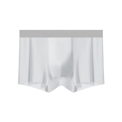 Men's lightweight sheer underwear