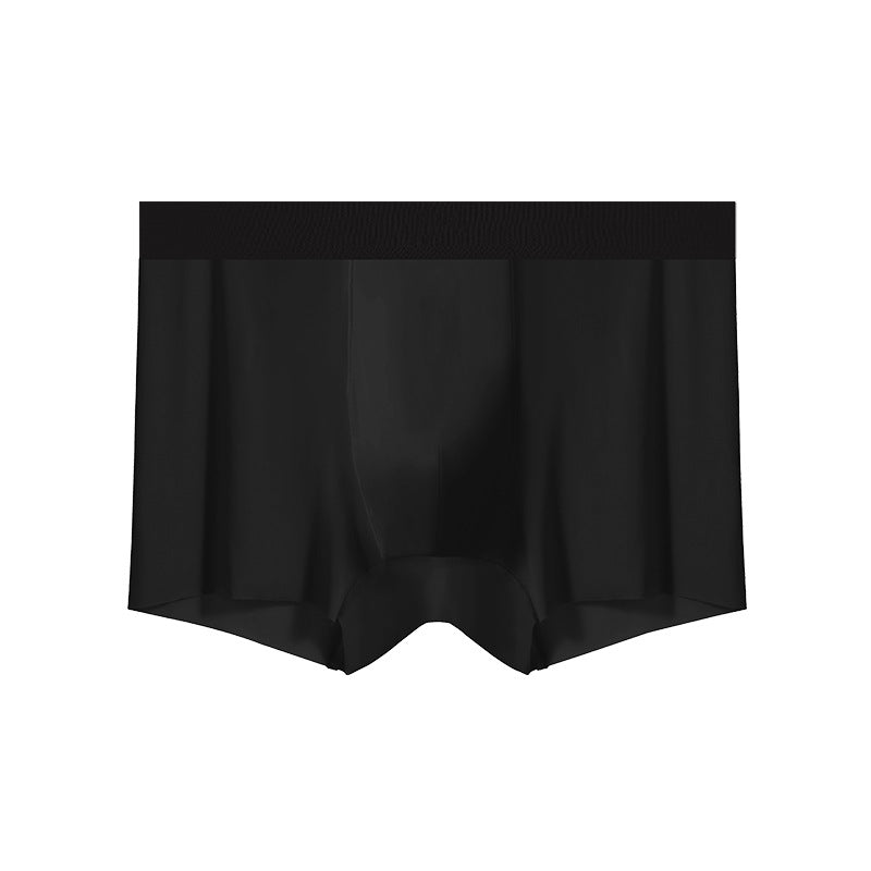 Men's lightweight sheer underwear