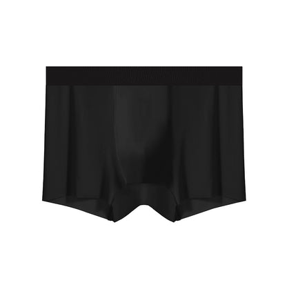 Men's lightweight sheer underwear