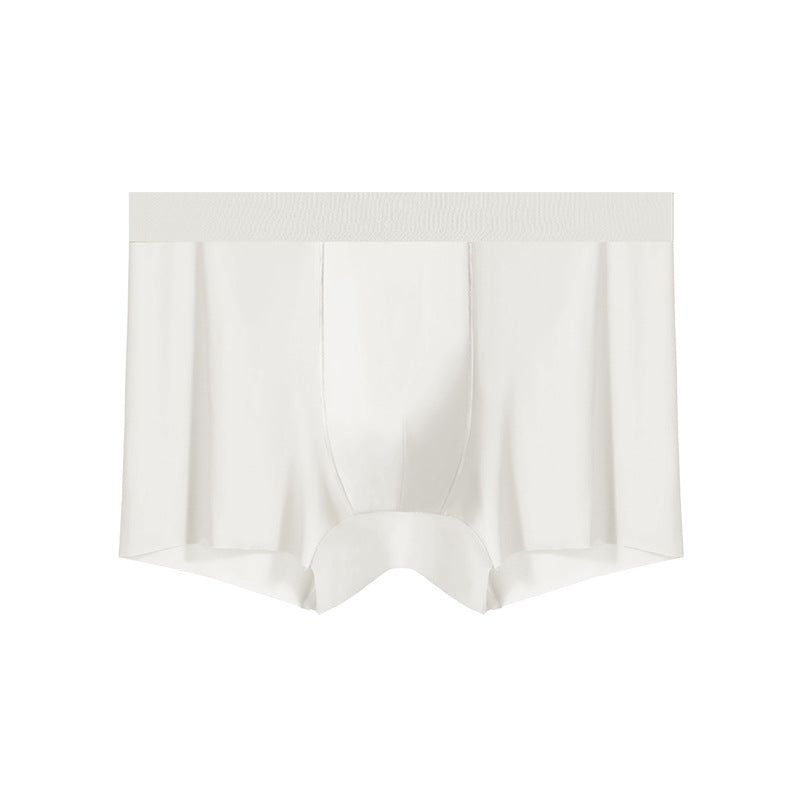 Men's lightweight sheer underwear