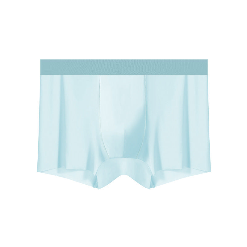 Men's lightweight sheer underwear