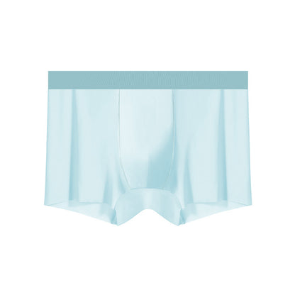 Men's lightweight sheer underwear