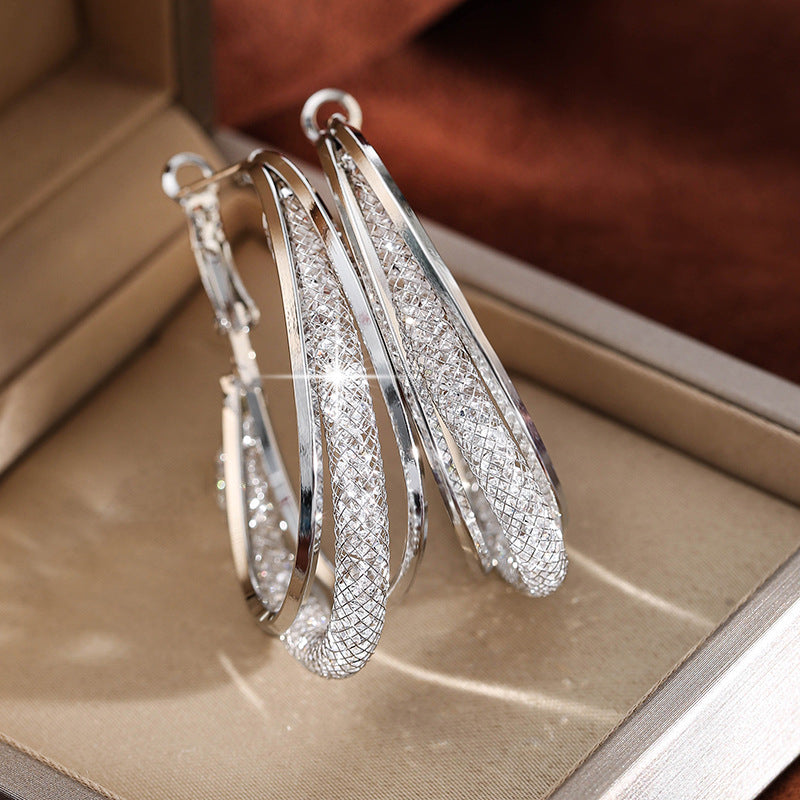 Delicate Zircon Circle Earrings